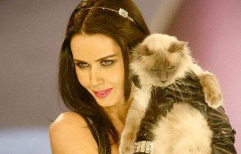 Animalele de companie ale vedetelor dezvaluie personalitatea stapanilor