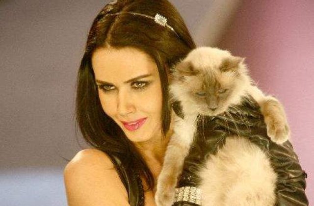 Animalele de companie ale vedetelor dezvaluie personalitatea stapanilor