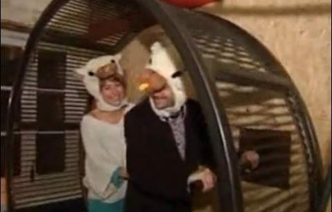  Video  Primul hotel pentru oamenii-soareci