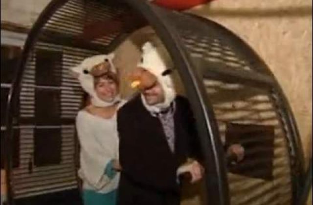 [VIDEO] Primul hotel pentru oamenii-soareci