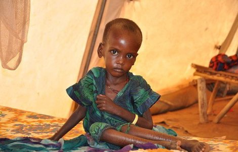 260.000 de vieti pierdute in urma crizei alimentare din Somalia