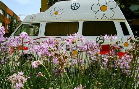  Top  TOP 5 : Destinatii &#39;Make love, not war&#39;