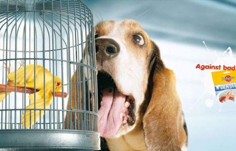 20 de reclame amuzante