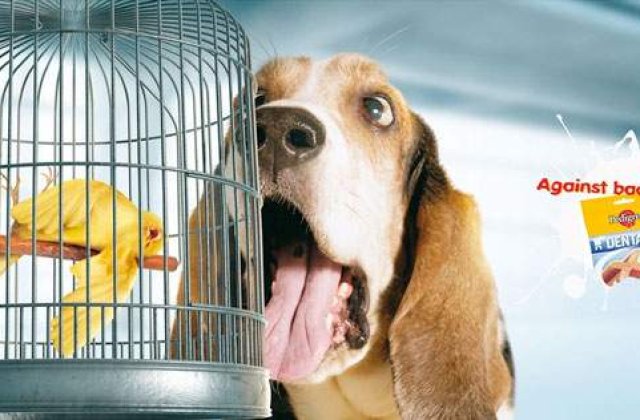 20 de reclame amuzante