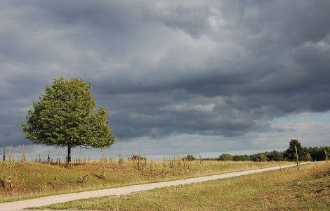 Meteo: Inca o saptamana de vara, apoi vremea se raceste