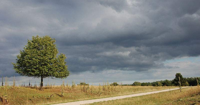 Meteo: Inca o saptamana de vara, apoi vremea se raceste