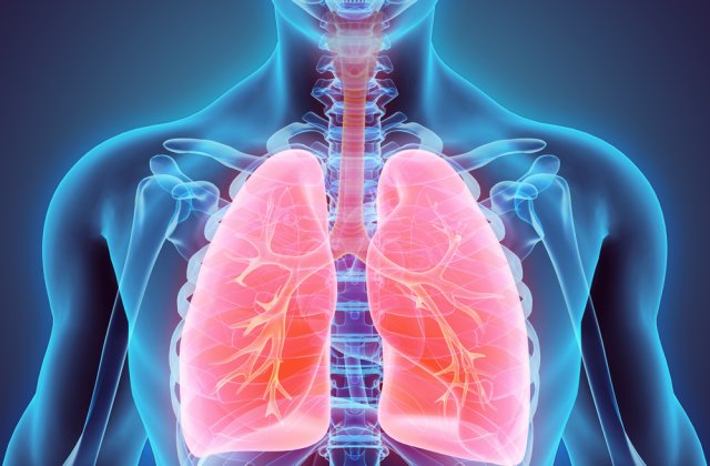 5 semne că plăm&acirc;nii tăi au nevoie de un control medical