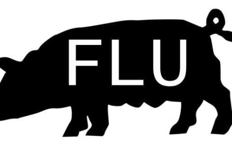 Norvegia a depistat o mutatie a virusului pandemic al gripei porcine