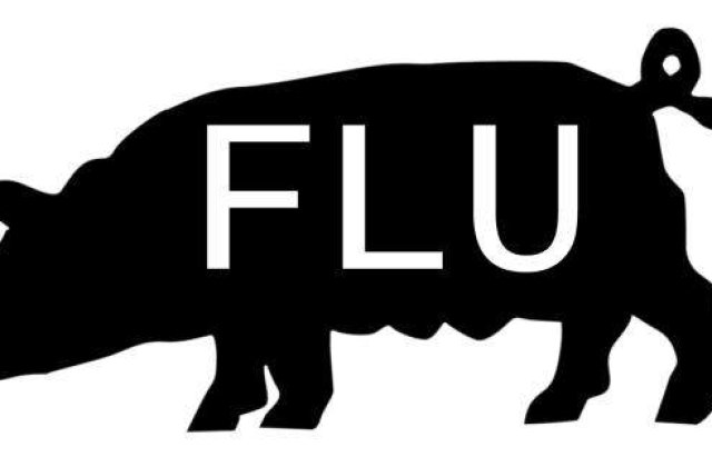 Norvegia a depistat o mutatie a virusului pandemic al gripei porcine