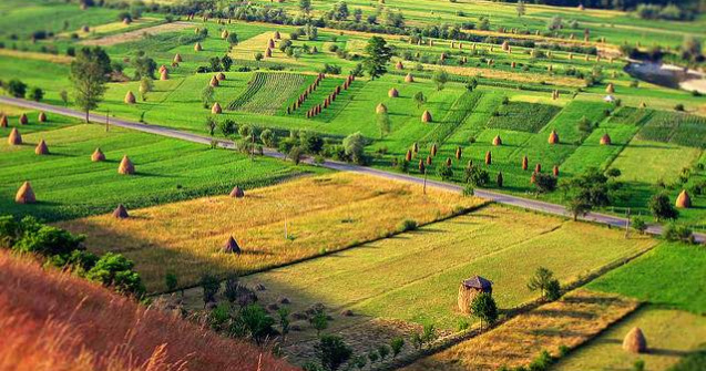  Top  Șapte simboluri naționale ale României mai puțin cunoscute