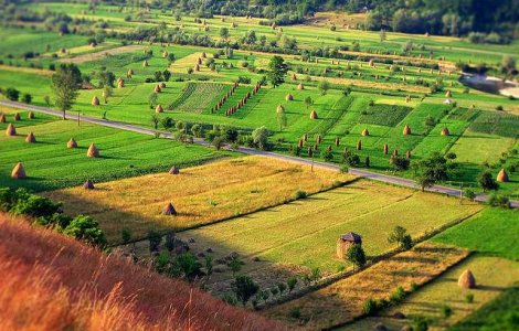  Top  Șapte simboluri naționale ale României mai puțin cunoscute