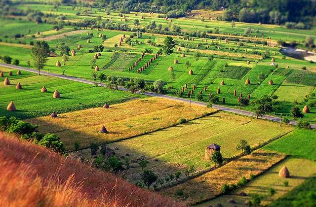 Șapte simboluri naționale ale Rom&acirc;niei mai puțin cunoscute