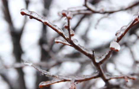 Extremul Orient Rus, în stare de urgență în urma fenomenului de ploaie înghețată