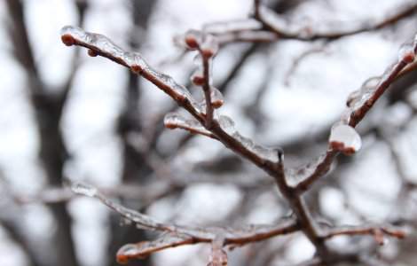 Extremul Orient Rus, în stare de urgență în urma fenomenului de ploaie înghețată