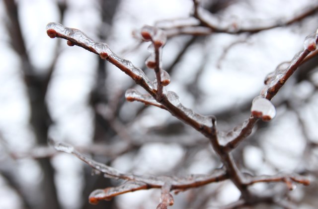 Extremul Orient Rus se află &icirc;n stare de urgență &icirc;n urma fenomenului sever de ploaie &icirc;ngheţată