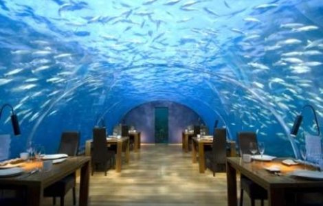 Pofta buna! Printre pesti...