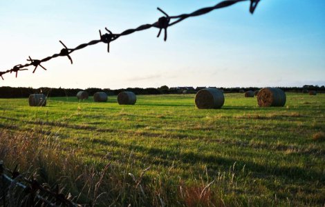 Cum contribuie agricultura europeana la incalzirea globala