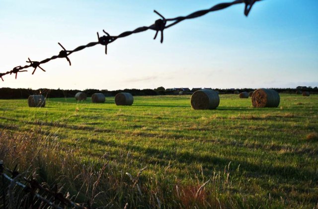 Cum contribuie agricultura europeana la incalzirea globala