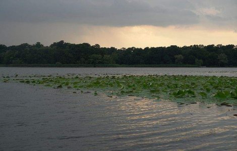 Snagov: O cabana RAPPS a ars din temelii