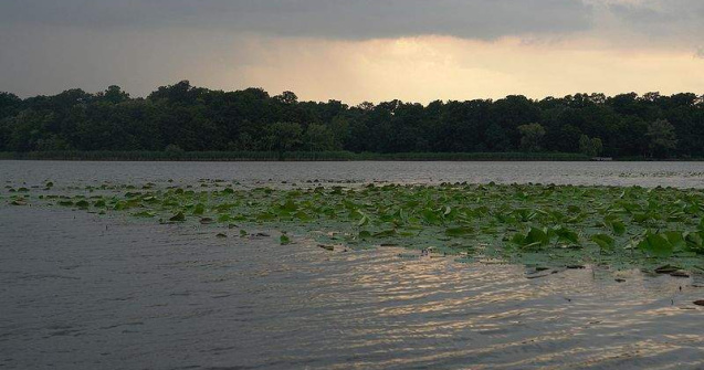 Snagov: O cabana RAPPS a ars din temelii