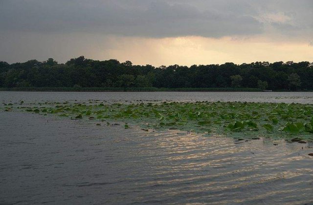 Snagov: O cabana RAPPS a ars din temelii