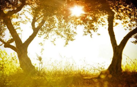 Meteo: Cum va fi vremea in weekend