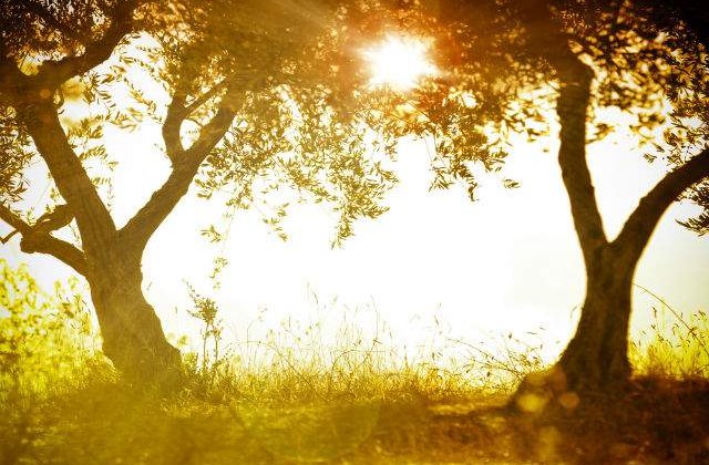 Meteo: Cum va fi vremea in weekend