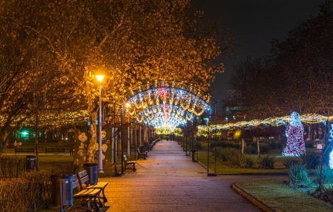 Primarul Sectorului 6 încurajează firmele să împodobească străzile şi parcurile