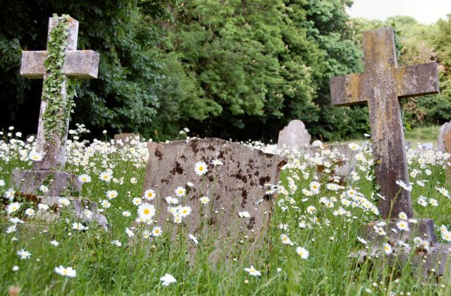 Cum omoara UE traditiile romanesti