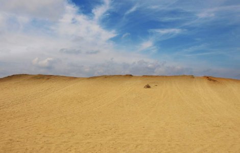 Un sfert din teritoriul Indiei, in curs de desertificare