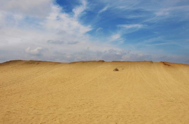 Un sfert din teritoriul Indiei, in curs de desertificare