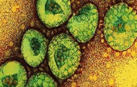 OMS: Noul coronavirus se transmite probabil de la o persoana la alta