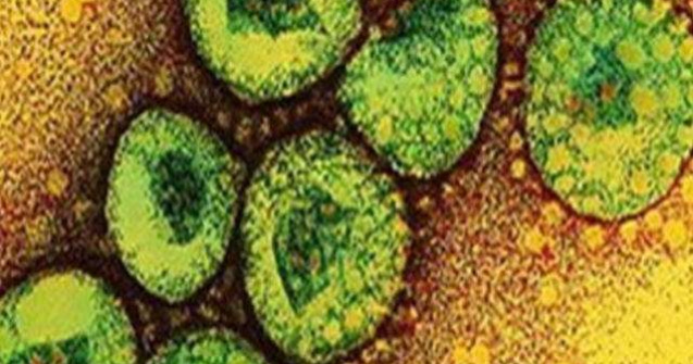 OMS: Noul coronavirus se transmite probabil de la o persoana la alta