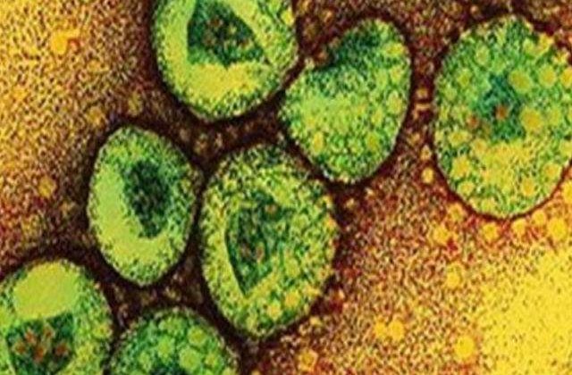 OMS: Noul coronavirus se transmite probabil de la o persoana la alta