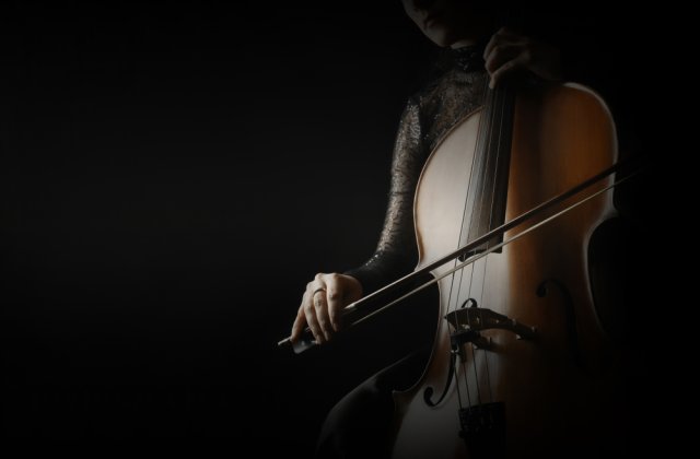 VIDEO O violoncelistă a transformat muzeele pustii în spații de „artă vindecătoare”