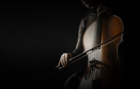 VIDEO O violoncelistă a transformat muzeele pustii în spații de „artă vindecătoare”