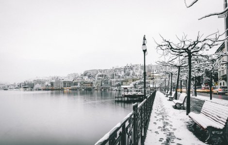 Șapte județe și Capitala se află sub cod galben de ninsori până la ora 20:00