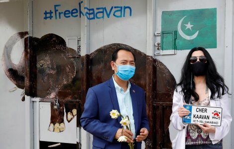 Kaavan, elefantul maltratat timp de 30 de ani, a fost întâmpinat de cântăreața Cher la sosirea în Cambodgia