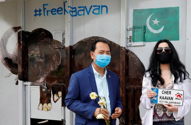 Kaavan, elefantul maltratat timp de 30 de ani, a fost întâmpinat de cântăreața Cher la sosirea în Cambodgia