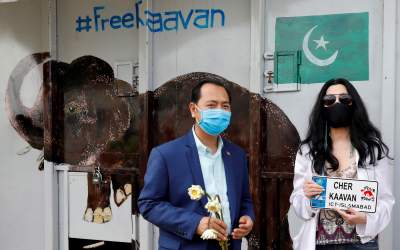 Kaavan, elefantul maltratat...