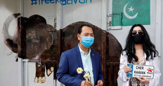 Kaavan a fost întâmpinat de cântăreața Cher la sosirea în Cambodgia