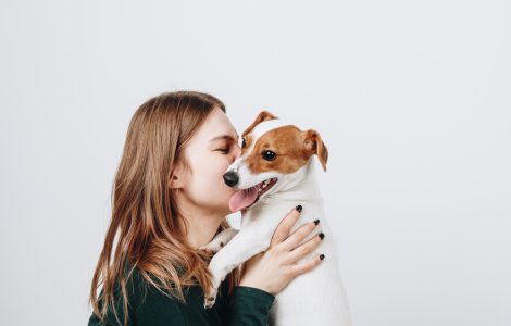 Vești bune pentru posesorii de animale infectați cu noul coronavirus! Cine le sare în ajutor