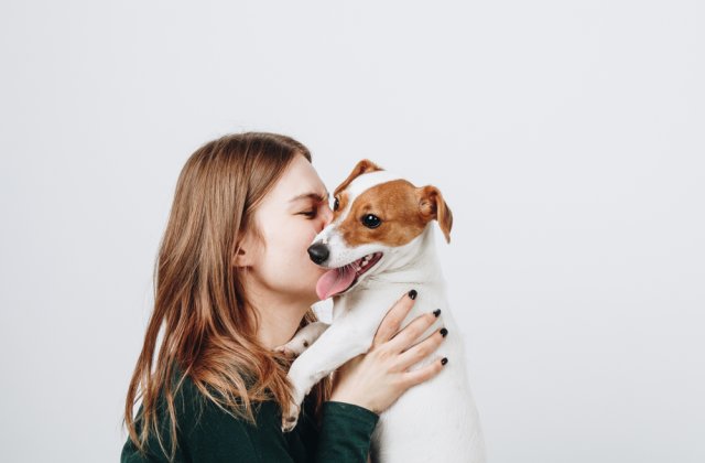 Vești bune pentru posesorii de animale infectați cu noul coronavirus! Cine le sare &icirc;n ajutor