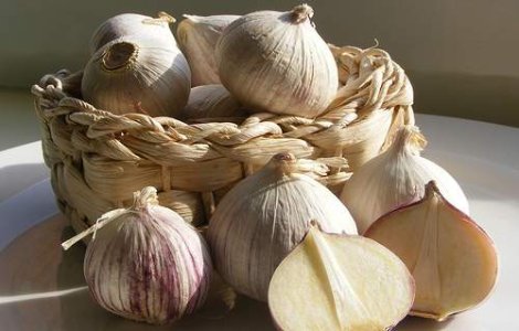 Pretul la usturoi, saltat de noua gripa