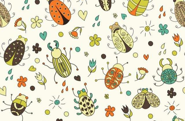 ONU recomanda: Top 10 insecte comestibile