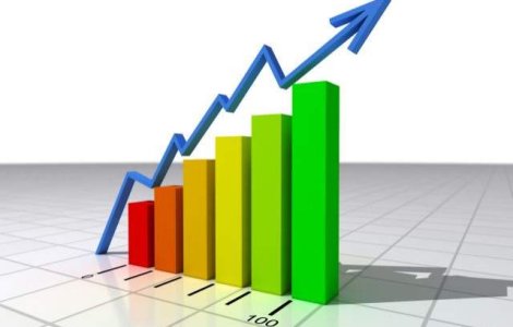 Economia a crescut in trimestrul I cu 0,5%