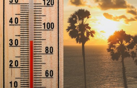 OMM: Anul 2020 este cel mai călduros din istoria măsurătorilor meteorologice