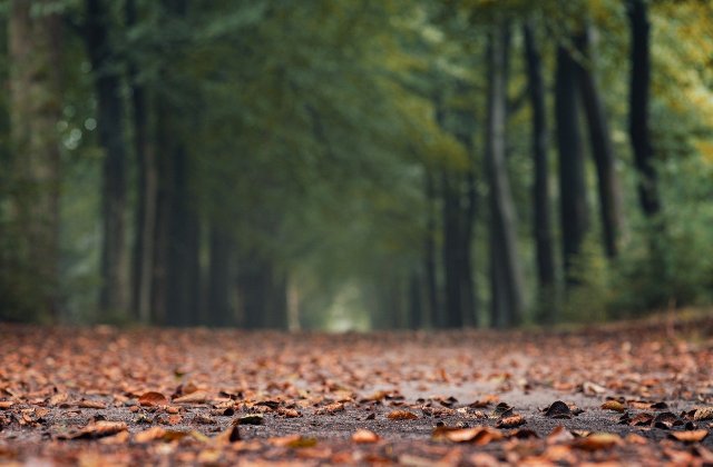 Prognoza meteo pentru următoarele patru săptămâni. Cum va fi vremea de Crăciun şi de Revelion