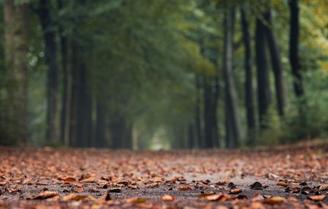 Prognoza meteo pentru următoarea lună. Cum va fi vremea de sărbători