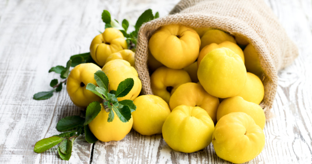 Fructul toamnei târzii - gutuile. Ce beneficii au acestea asupra organismului